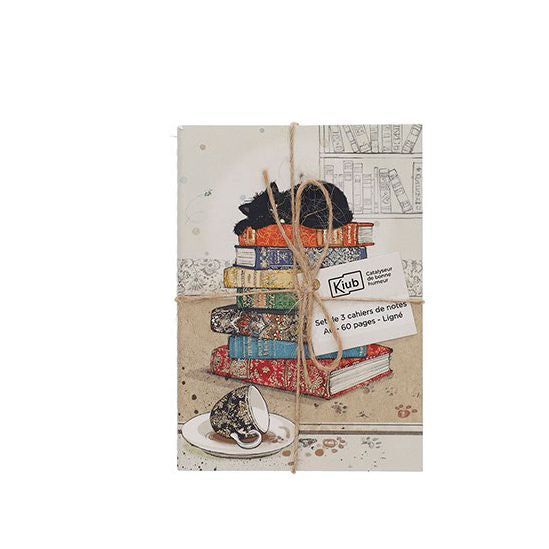 Σετ 3 τετραδίων Α6 ριγέ - Bug Art