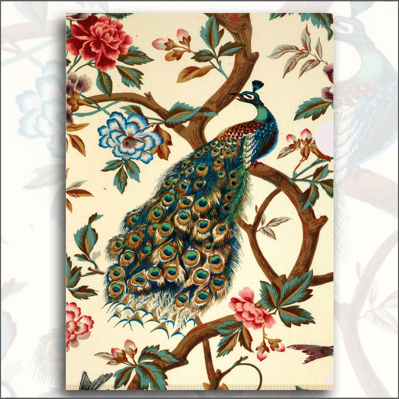 Φάκελος πλαστικός Α4 - Το υπέροχο παγώνι