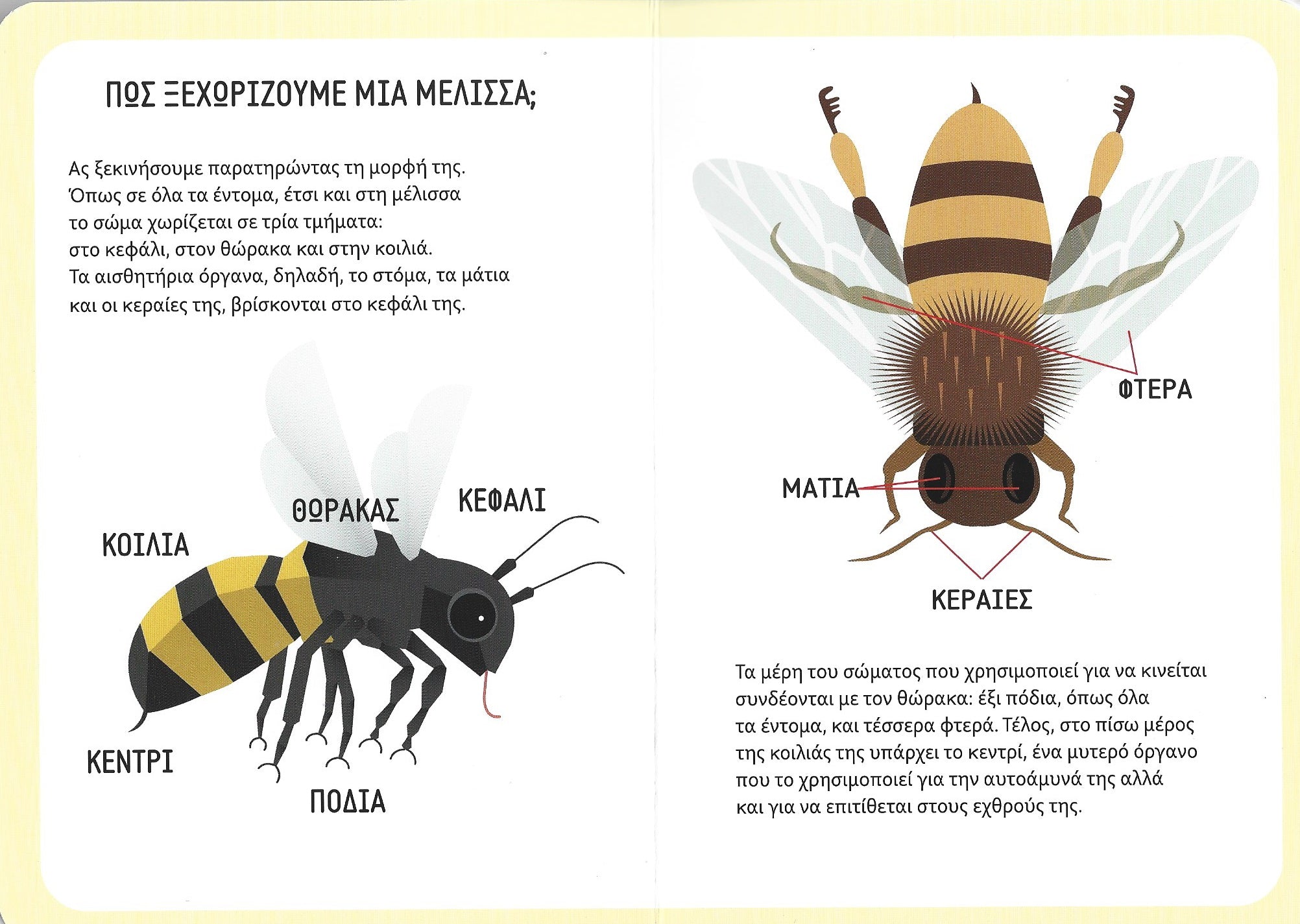 Μέλισσες