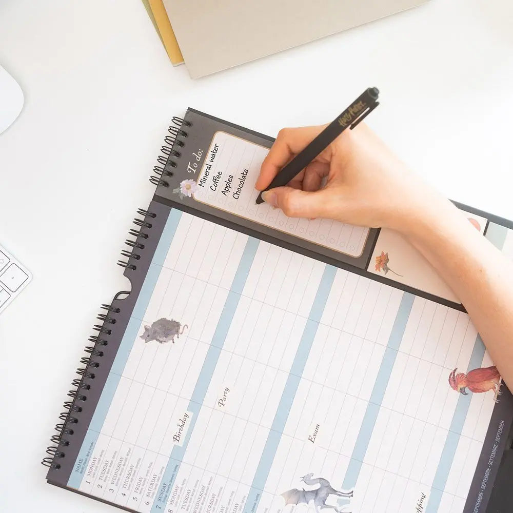 Ημερολόγιο/πλάνο τοίχου 2025-2026, 30x34εκ. - Harry Potter