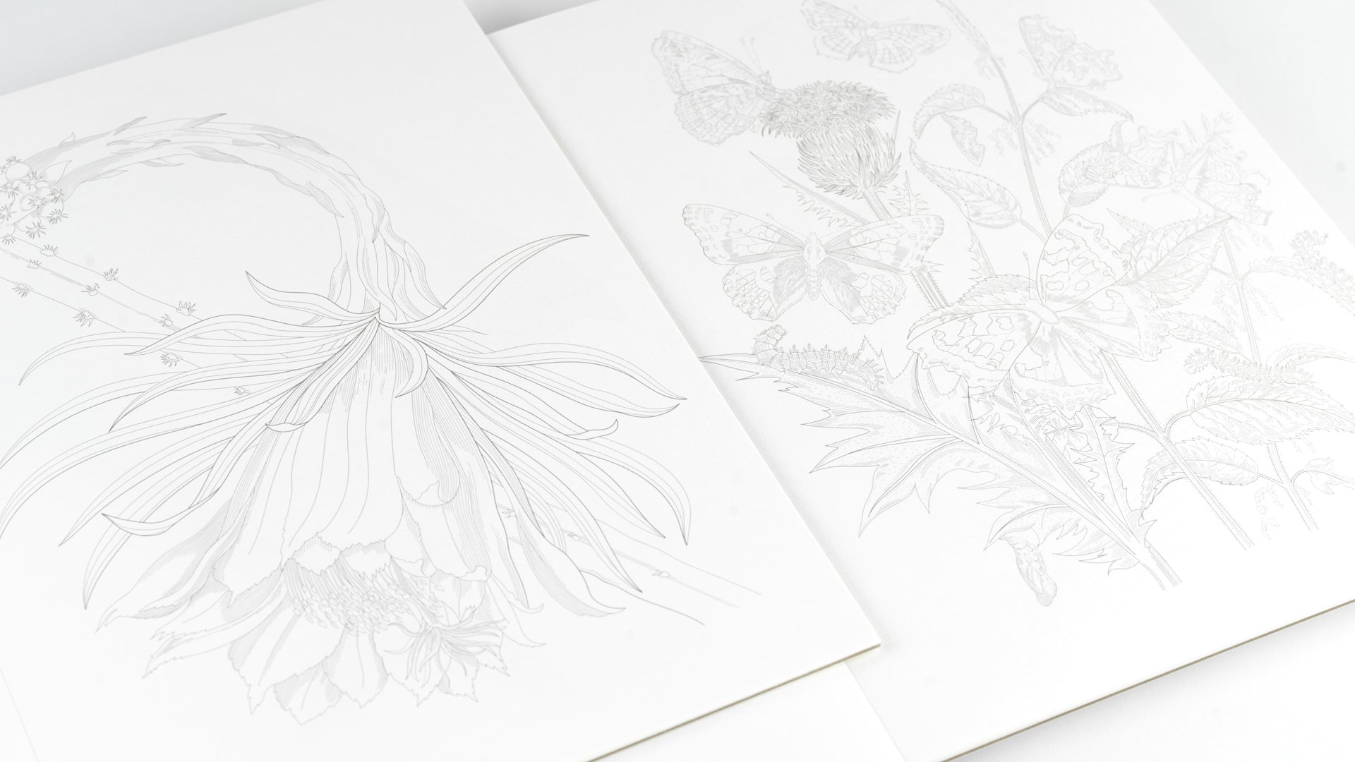 Artists’ Colouring Book - Natural History