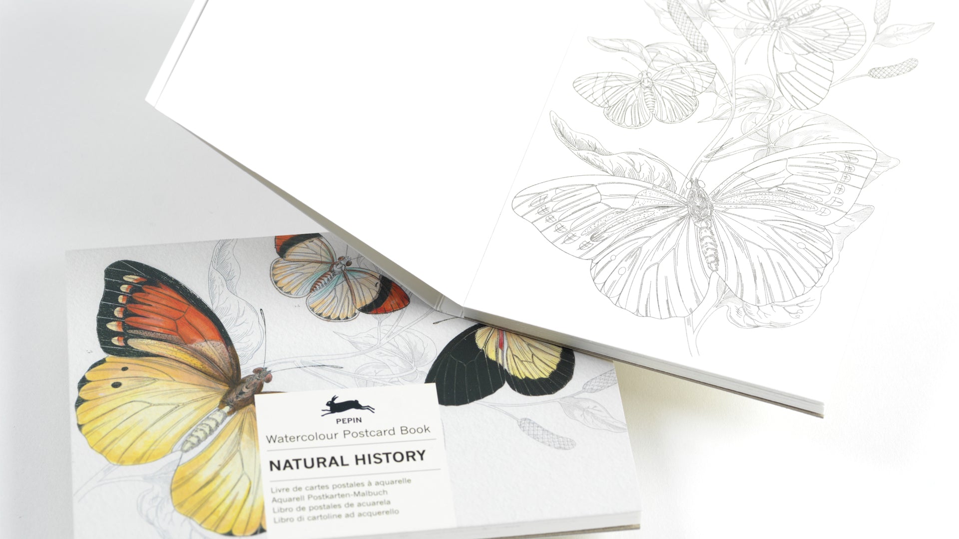 Watercolour Postcard Book - Natural History