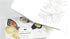 Watercolour Postcard Book - Natural History