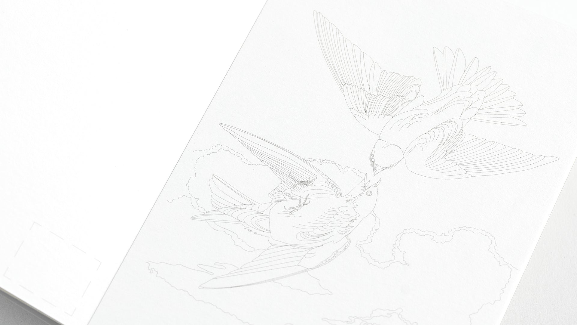 Watercolour Postcard Book - Natural History