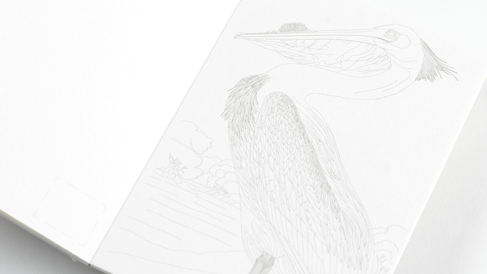Watercolour Postcard Book - Natural History
