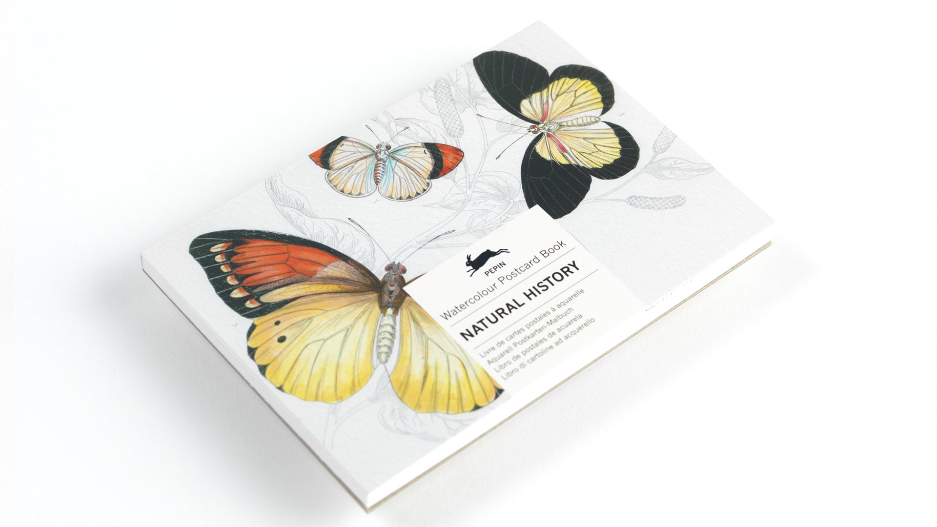 Watercolour Postcard Book - Natural History