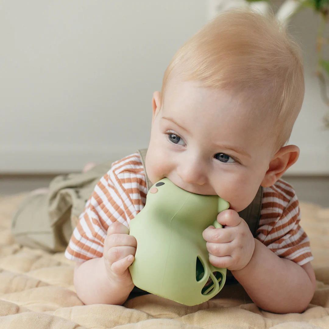 Κουδουνίστρα σιλικόνης – Dinosaur