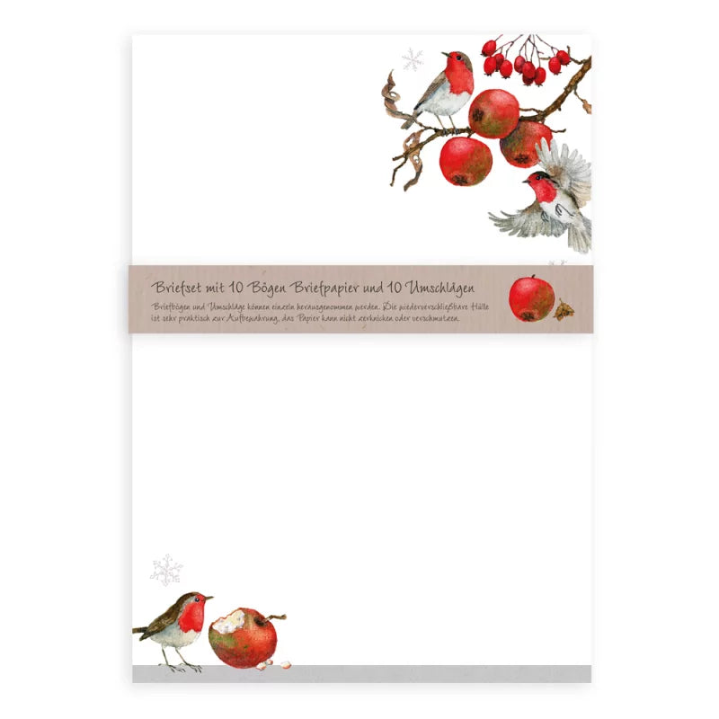 Σετ επιστολών "Frosty Berries"