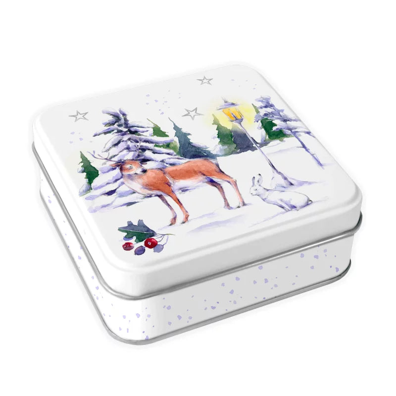Μικρό μεταλλικό κουτί "Χειμερινό Πάρκο"