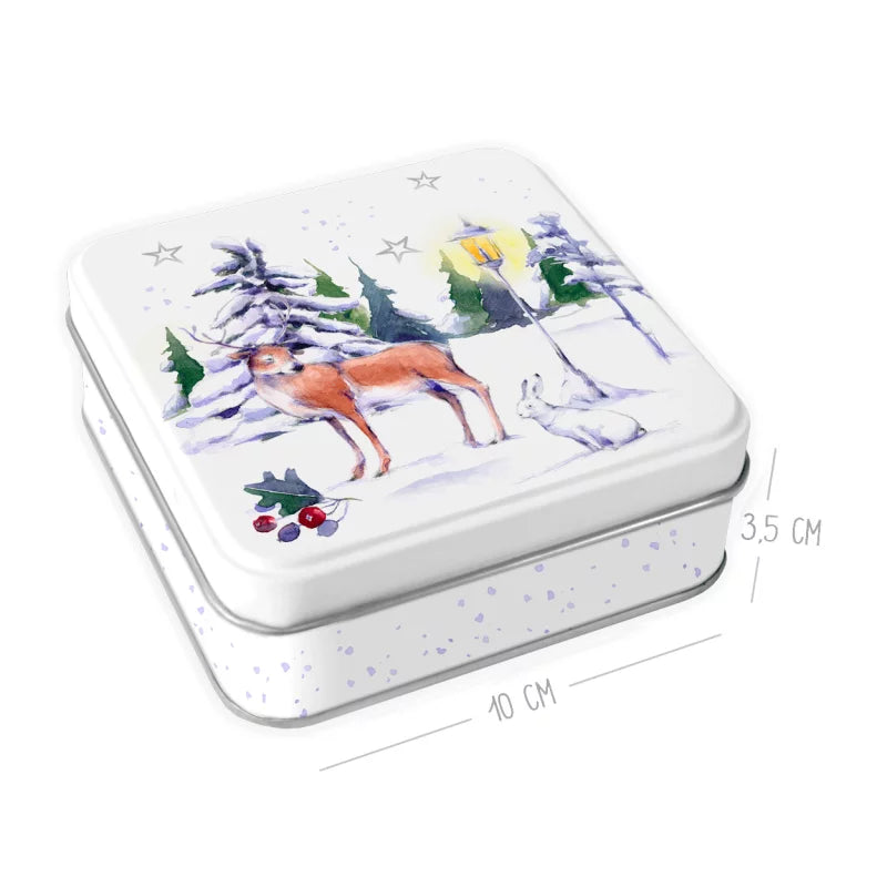 Μικρό μεταλλικό κουτί "Χειμερινό Πάρκο"