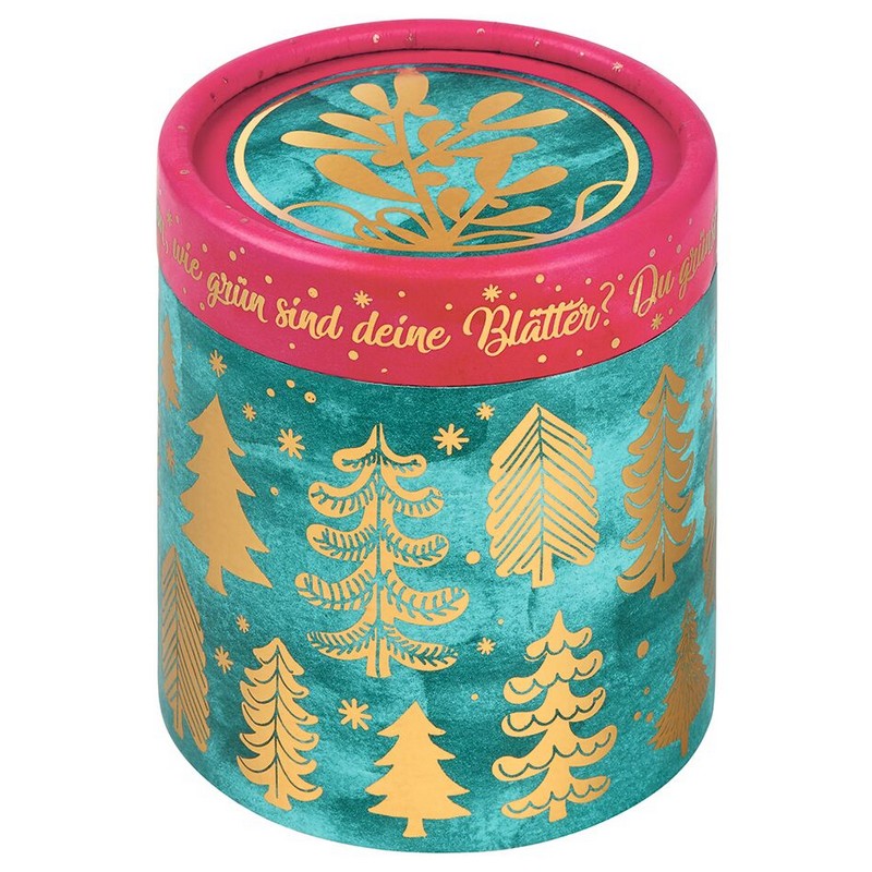 Χριστουγεννιάτικο μουσικό κουτί