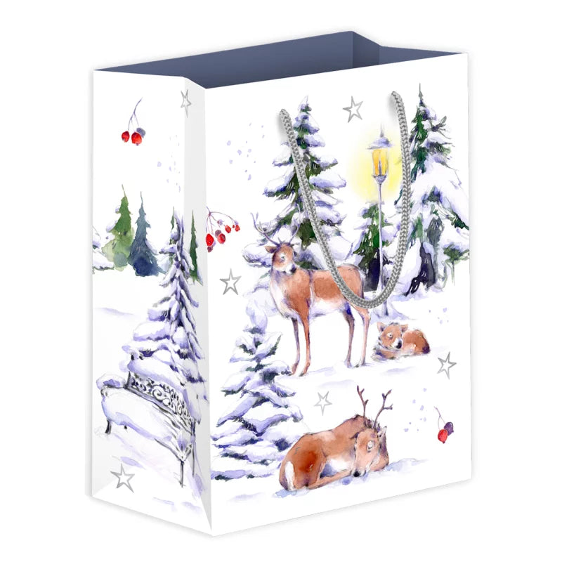 Μεσαία τσάντα δώρου "Χειμερινό Πάρκο"