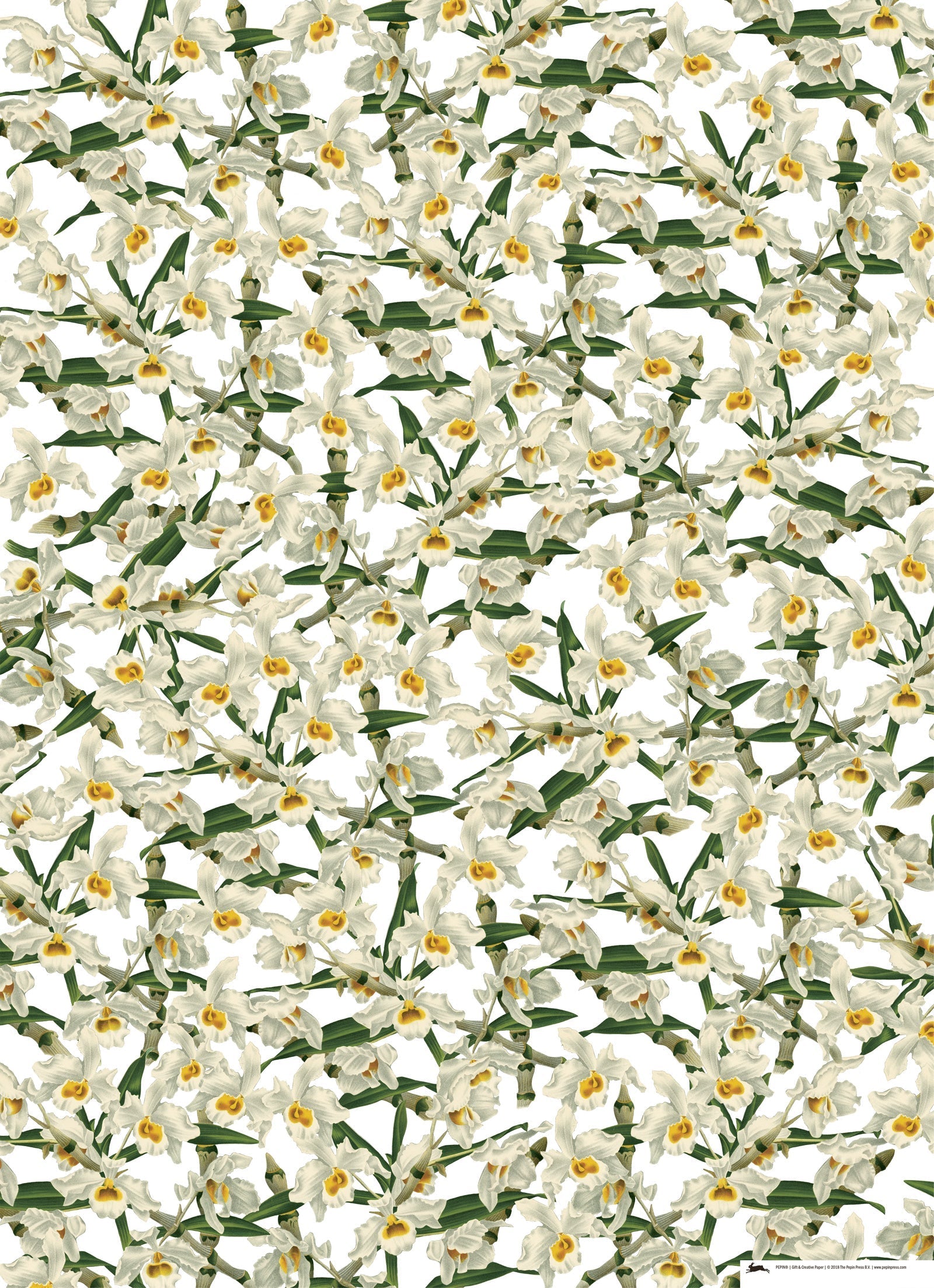 Gift & creative papers - Flower Prints