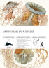 Gift & creative papers - Art Forms in Nature