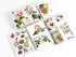 Σετ Αλληλογραφίας με δίπτυχες κάρτες, φακέλους και αυτοκόλλητα - Λουλούδια