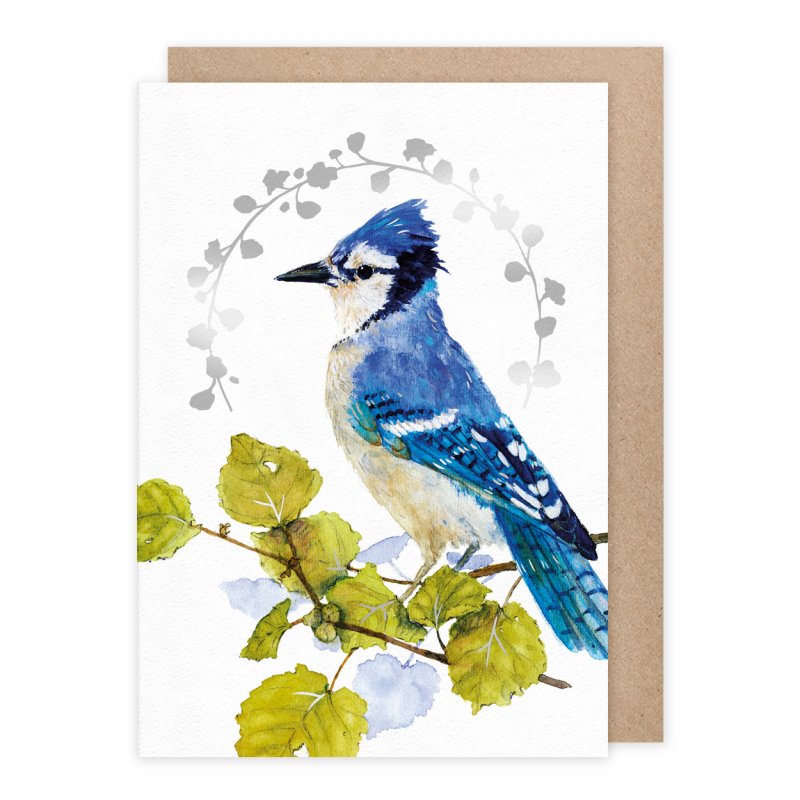Ευχετήρια κάρτα "Μπλε πουλί Κίσσα"