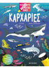 Ψάξε και βρες με τον μαγικό φακό: Καρχαρίες